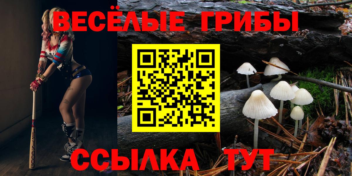 Псилоцибиновые грибы GOLDEN TEACHER  Вход с VPN  Волжск 