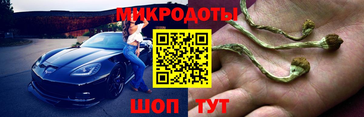 Псилоцибиновые грибы Psilocybine cubensis Волжск